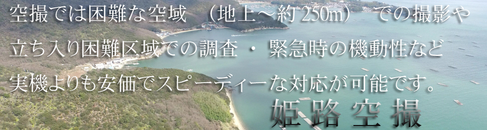 index.html